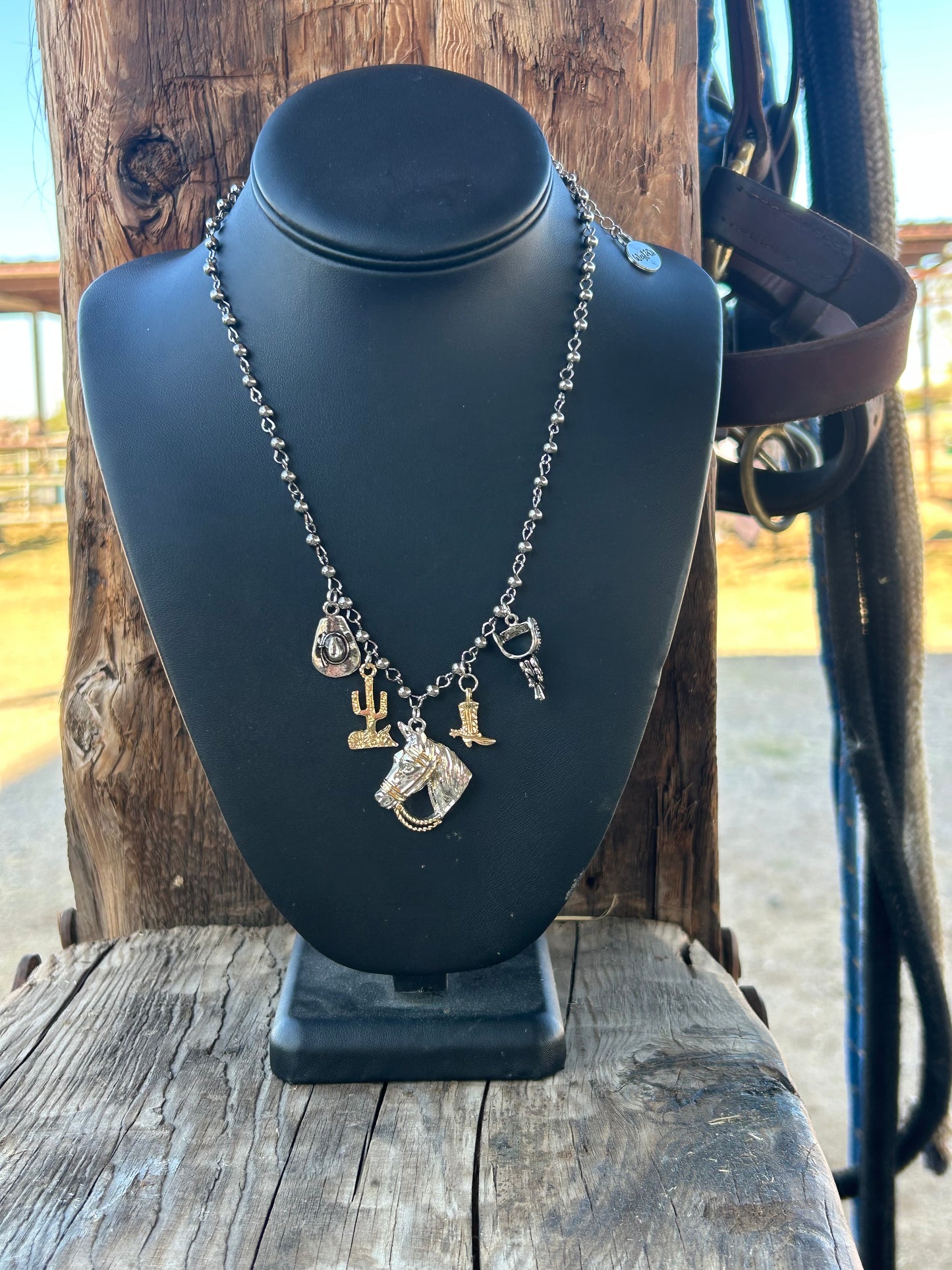 Necklace, The Southwest Charm